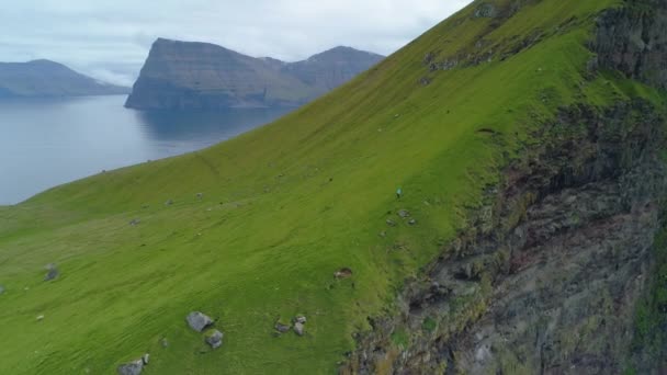 Vzduch Neznámá Turistka Sjíždějící Svahu Travnatého Kopce Poblíž Černého Skalnatého — Stock video