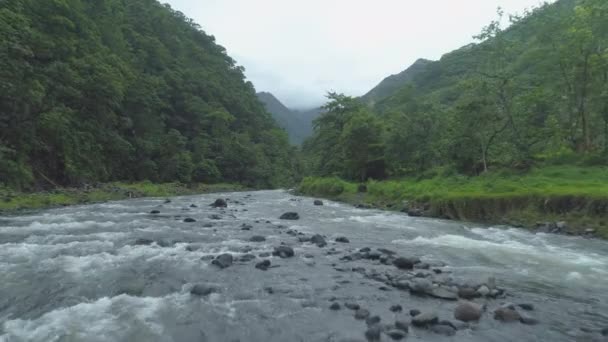 Aerial Flying Stream Small Creek Flowing Heart Exotic Island Breathtaking — стоковое видео