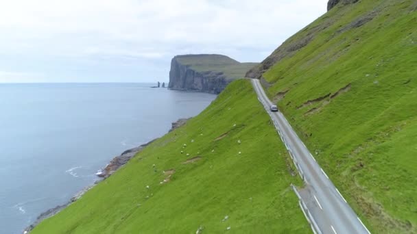 Antenne Kopierraum Auto Fährt Küstenstraße Hinunter Vorbei Einer Wiese Mit — Stockvideo