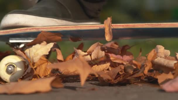 スローモーション マクロ Dof カラフルな秋の葉の山の上に認識できない男のスケート市内で晴れた日に 空のアスファルトの歩道上の葉の上を転がるスケートボーダーの映画的な眺め — ストック動画
