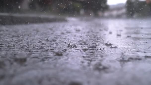 慢动作关闭 秋天的雨滴落在沥青路面上的大水坑里 淹没了街道 雨季下大雨 导致道路被淹 雨滴落在被淹没的道路上 — 图库视频影像