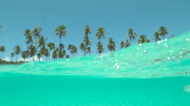 スローモーション ハーフ ドーフ 空の白い砂の海岸に沿って植えられた美しいエキゾチックな島と高くそびえるヤシの木を撮影するカメラの上にガラスの海の水が飛び散っています 壮大な海辺 — ストック動画