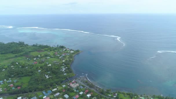 Canlı Tahiti Geniş Bir Haliçin Yakınındaki Yemyeşil Bir Tropikal Ormanda — Stok video