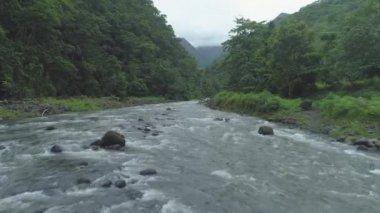 Uzak tropikal adanın ortasındaki akarsular ormanla kaplı nefes kesici dağlarla çevrilidir. Fransız Polinezyası 'nda serinletici bir dere aşağı uçuyor..