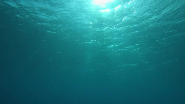 SLOW MOTION, SOUS-EAU, POV : Nager jusqu'à la surface scintillante de l'océan émeraude avant de se noyer. Des rayons de soleil brillants brillent à travers les vagues vitreuses passant devant la caméra immergée dans la mer d'émeraude .