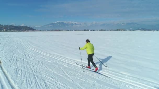 自然のままの白い雪の中のトレイルに沿ってカラフルな冬のジャケットスキーで女性に沿って飛ぶ 晴れた日に活発な女性スキークロス国を囲む息をのむような冬の風景 — ストック動画