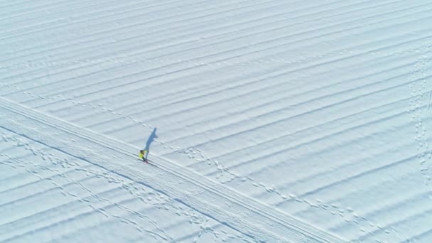 自上而下 活跃的妇女在一个五颜六色的冬季夹克滑雪跨越一个大的雪原在斯洛文尼亚 在田园诗般的乡村滑雪 在女性游客的上方飞行 享受阳光明媚的冬日 — 图库视频影像