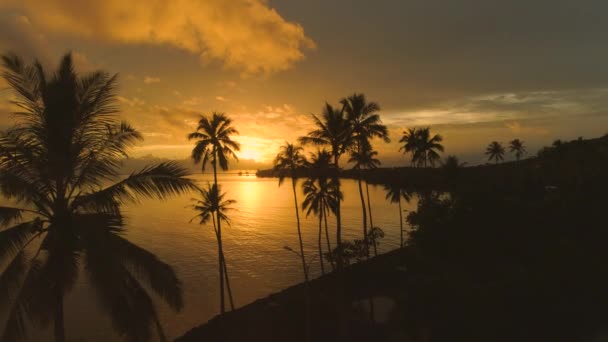 壮大な黄金夏日の出の美しいビーチのそばの小さな湖の上航空 飛行牧歌的な美しい楽園の島の静かな熱帯海岸に輝く夕暮れの見事なショット — ストック動画