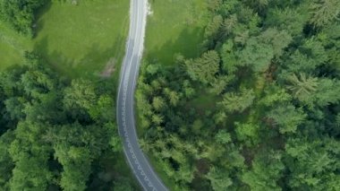 Hava, yukarıdan aşağı: yemyeşil yeşil ormanlar ve boş meadows bir boş asfalt yol üzerinde uçan. Pitoresk yukarıdan aşağıya bir uzak ülke iz Slovenya sakin kırsal kesiminde görünümünü.