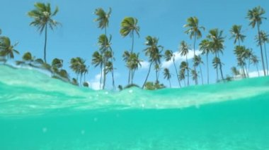 Slow Motion Half Underwater Picturesque kumlu plaj ve turkuaz okyanus suyu çarpıcı Fransız Polinezyası 'nda güneşli bir günde. Beyaz kumlu ve yeşil palmiyeli cennet adası manzarası.