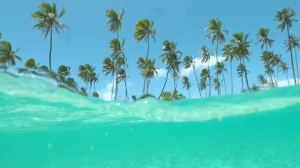 SLOW MOTION HALF UNDERWATER Plage de sable pittoresque et eau de mer turquoise par une journée ensoleillée dans la magnifique Polynésie française. Belle vue sur la côte paradisiaque de l'île avec rivage de sable blanc et palmiers verts 
