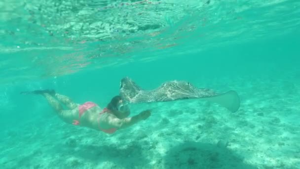 Slow Motion Underwater Young Woman Diving Glassy Pacific Feeds Hungry — Stock Video