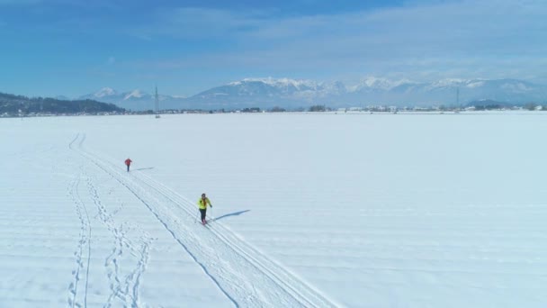 Aérial Envoler Deux Touristes Féminines Méconnaissables Ski Fond Dans Campagne — Video