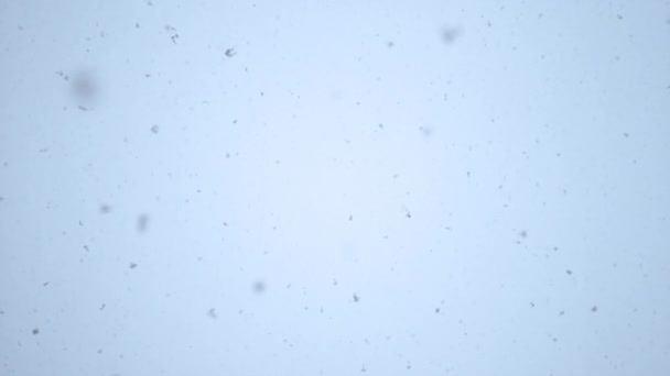 スローモーション閉じる白い雪の結晶がゆっくりとカメラの方へ落ちていきます 白い冬に雪が降る 冬の日に白い空から冷たい凍結フレーク雪 — ストック動画