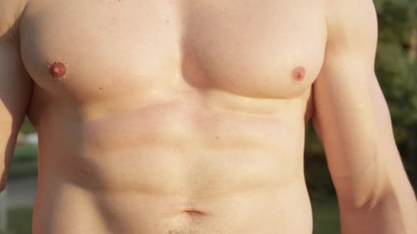 在阳光充足的公园里做了剧烈运动后 无法辨认的体形使他的腹部反射 在一个炎热的夏日下午外出锻炼后 赤身裸体的男人露出了他的腹肌 肌肉男运动员 — 图库视频影像