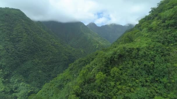 Aerial Flying Close Dense Canopies Tropical Forest Covering Spectacular Mountains — 图库视频影像