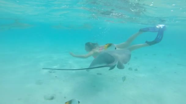 Slow Motion Sualtı Yaz Tatilinde Kaygısız Bir Kadın Camsı Okyanusta — Stok video