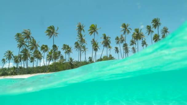 スローモーション 水中の半分 クリスタルクリア海の水は フランス領ポリネシアで完璧な夏の日に壮大な空の熱帯ビーチを撮影するカメラの上を流れます ターコイズブルーの海とヤシの息をのむ — ストック動画