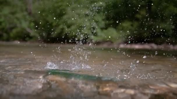 Reverse Slow Motion Chiuso Bottiglia Verde Viene Lasciata Cadere Nel — Video Stock