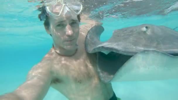 水中では Selfie 笑顔の白人男性は ターコイズ ブルーの海でのダイビングしながら大きなやさしいスティン グレーと Selfie を取ります 若い男性の観光客が楽しんで素晴らしい熱帯の野生生物と泳ぐ — ストック動画