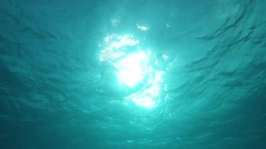 Slow Motion, Sualtı, Pov: Sakin Pasifik okyanusunun ışıldayan yüzeyine bakıyorum. Parlak güneş ışınları, Fransız Polinezyası yakınlarındaki engin tropikal denizin nefes kesici derinliklerini aydınlatır..