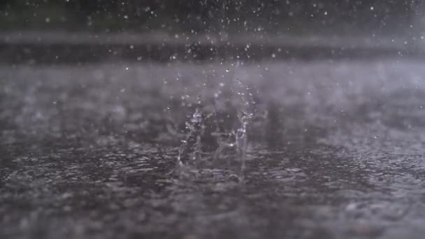 Slow Motion Close Φθινοπωρινές Σταγόνες Βροχής Πέφτουν Μεγάλη Λακκούβα Στην — Αρχείο Βίντεο