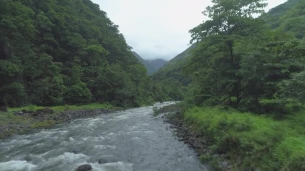 在白水之上飞翔的急流冲过青山在壮观的法属波利尼西亚 在令人耳目一新的雾蒙蒙的日子里 河流流过一个遥远的热带岛屿 令人目瞪口呆 — 图库视频影像