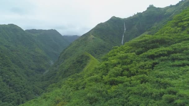 Aerial Flying Creek Flowing Steep Mountain Covered Vibrant Green Forest — Stock Video