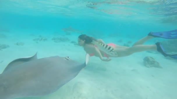 Slow Motion Underwater Lycklig Kvinna Dyker Det Turkosa Havet Närmas — Stockvideo