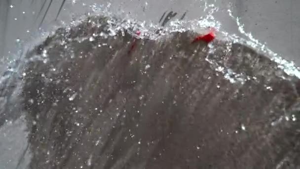 Slow Motion Close Färgglad Vattenbomb Exploderar Vid Kollision Med Betongpanelen — Stockvideo