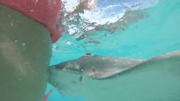 Slow Motion Underwater Close Gentle Stingray Έρχεται Κοντά Αγνώριστη Γυναίκα — Αρχείο Βίντεο