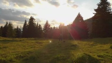 Hava Lens Flare: Trekker kız ve köpeği altın bir edebiyat akşamı güzel Slovence dağlarda yürüyerek. Güzel doğa çevreleyen uygun kadın turist Slovenya'da köpeğiyle günbatımında hiking.
