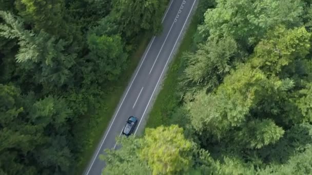 Aerial Top Автомобиль Проезжающий Через Лес Обгоняет Быстрый Мотоциклист Аэросъемка — стоковое видео