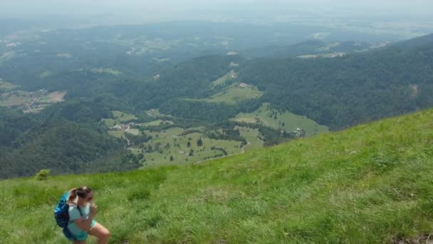 航空写真 スポーツ少女と彼女の素敵な犬は美しい緑のアルプスの険しい山道を歩きます 春の自然や女性トレッカーが草で覆われた丘を上る間渓谷の壮大な眺め — ストック動画