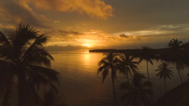 AÉRIAL : Le soleil doré du soir qui brille sur l'île paradisiaque disparaît derrière les nuages et l'horizon. Vue spectaculaire sur les grands palmiers, l'eau paisible de l'océan et le coucher de soleil à couper le souffle en Polynésie française .