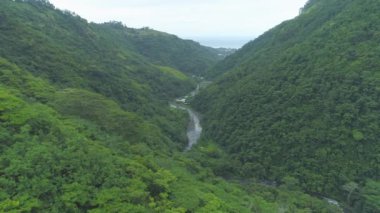 Dar nehir, çarpıcı dağı geçerek sonsuz okyanusa doğru akar. Yoğun tropikal yağmur ormanlarıyla kaplı, yemyeşil adanın içinden akan, egzotik bir nehrin akıntılarının üzerinde uçuyor..