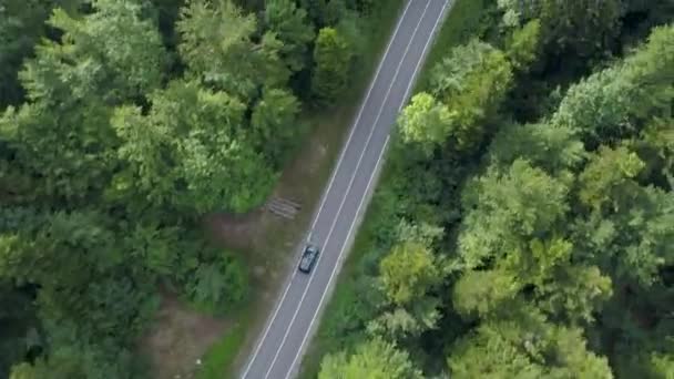 Aerial Top Velocidades Coches Color Oscuro Través Del Idílico Bosque — Vídeos de Stock