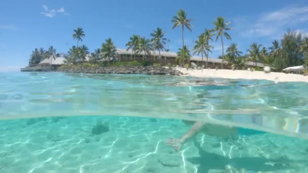 Half Underwater Active Young Man Swims Breathtaking Exotic Sandy Shore — Stock Video