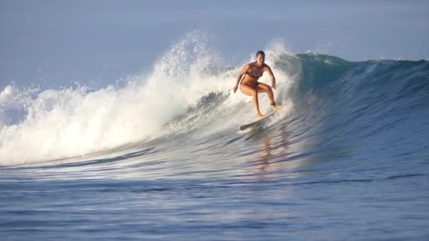 慢动作 年轻的亲女性冲浪板骑在金色的日出美丽的管波 体育白种妇女活跃假期骑一个完美的桶波在斐济一个风景如画的夏夜 — 图库视频影像