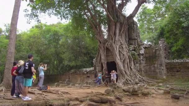 柬埔寨吴哥窟 2017年4月 快乐的游客在印度教寺庙入口前拍摄照片 被巨大的树根覆盖 游客在安静的森林中拍摄有趣的建筑照片 — 图库视频影像