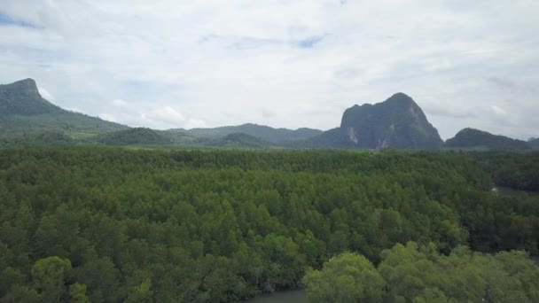 自然のままの熱帯雨林の上を飛んで 日当たりの良い島の遠隔地に隠された遠くのカニ農場に向かって 静かな風景を覆う手つかずのエキゾチックな緑の素晴らしいショット — ストック動画