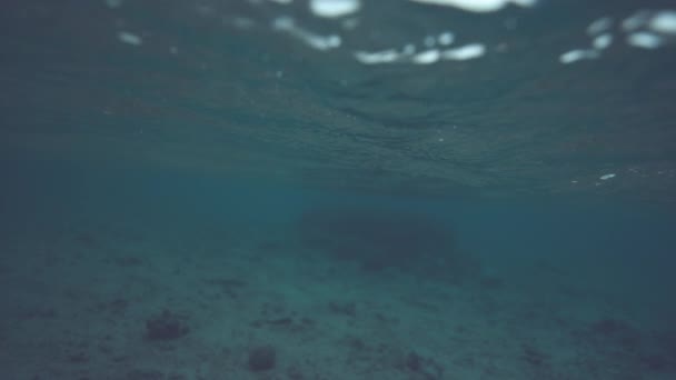 Slow Motion Underwater Dof Deep Blue Ocean Waves Slowly Moving — Stock Video