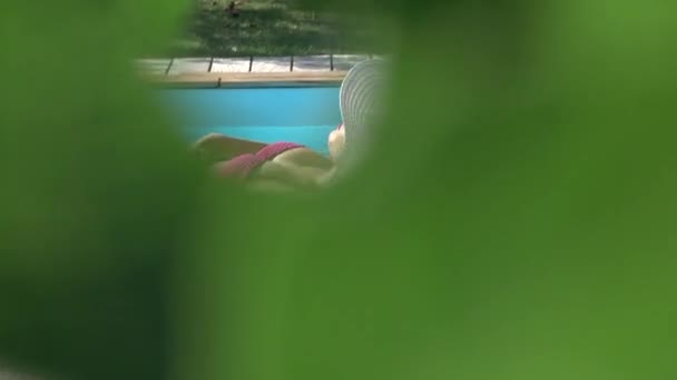 Pov ストーカーは 茂みの後ろからピンクのビキニで日焼けする気づかない女の子の日焼けをスパイし プールの近くで一人で寝ている魅力的な白人女性の写真を撮ってクレイジー隣人 — ストック動画