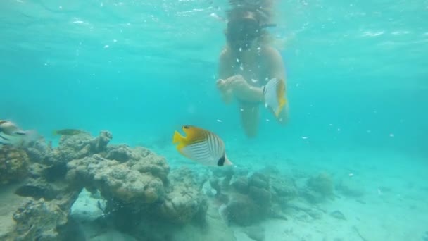 Underwater Young Female Snorkeler Exploring Turquoise Ocean Decaying Coral Reef — Stock Video