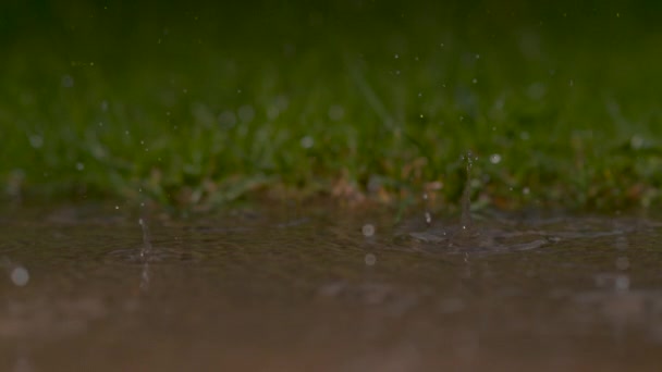 慢动作 美丽的雨滴在强烈的春季暴雨中落入大池塘的镜头 在绿色的草原附近 大量微光的冷水滴掉进浑浊的水坑里 — 图库视频影像