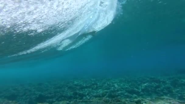 Unterwasser Profi Surfer Typ Schwimmt Unter Einer Barrel Welle Und — Stockvideo