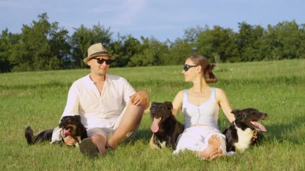 スローモーション 肖像画 3つの愛らしい黒い子犬は 日当たりの良い牧草地の真ん中で陽気な所有者の側で休息します 笑顔のガールフレンドとボーイフレンドは 彼らのかわいいボーダーコリー犬を保持し こする — ストック動画