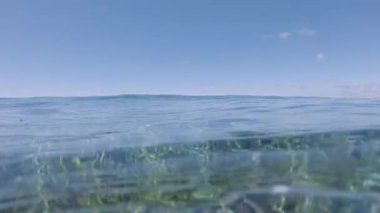 Yavaş Hareket, Yarım Sualtı: Genç sörfçü oturup yeni dalgalar için sörf tahtalarında bekleyin. Tanınmayan aktif turistler sabırla Fiji destansı varil dalgalar sörf için sakin okyanusta bekliyor.