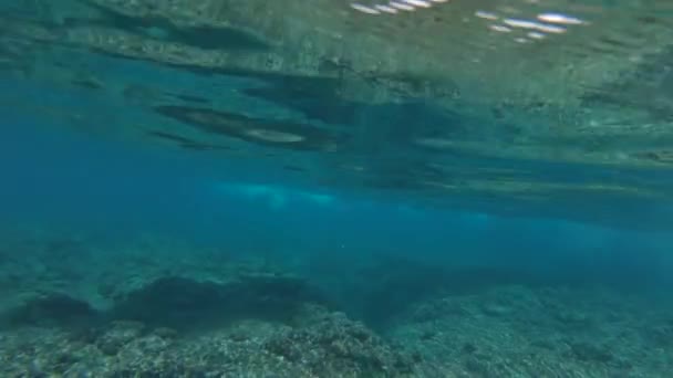 Slow Motion Underwater Хвиля Бірюзової Трубки Проходить Повз Невпізнаваного Туриста — стокове відео