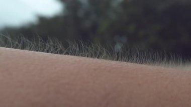 Close Up, Macro, Dof: Tanınmayan kişinin yükseltilmiş kol kılları okyanus esintisinde hareket eder. Yağmur fırtınalarından korkan genç kadının kollarında tüyler diken diken oluyor. Titreyen kızın ön kolunun yakın çekim.